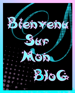 soyer les bien venu sur mon blog